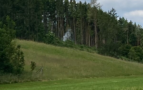 Rauchsäule im Waldgebiet