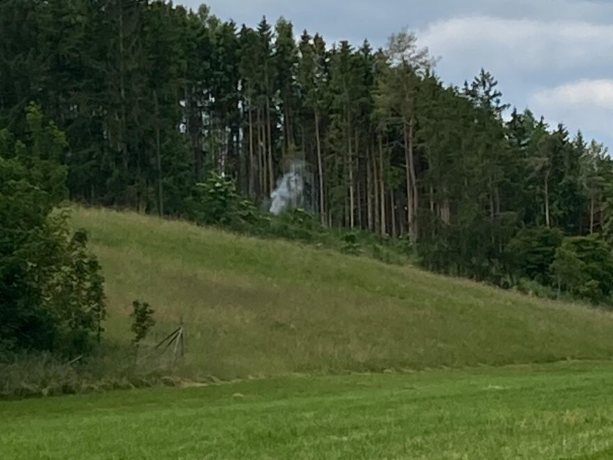 Rauchsäule im Waldgebiet
